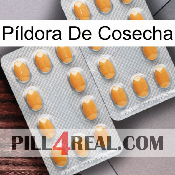 Píldora De Cosecha cialis4.jpg